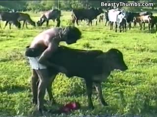 人类和动物-牛婴儿资源多多,等着你欣赏—人兽性交6-16
